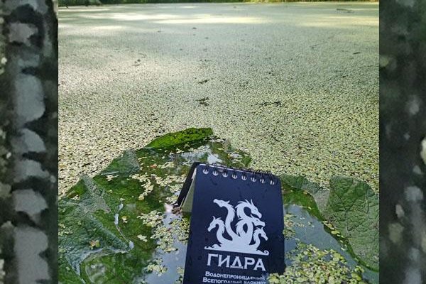 Кракен онион супернет площадка