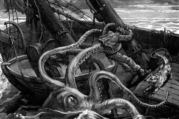Kraken url