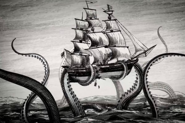Kraken whitenet store
