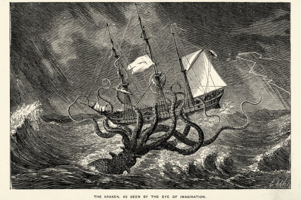 Kraken whitenet kraken whitenet 2n com