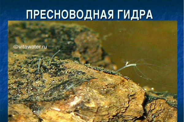 Супернет москва
