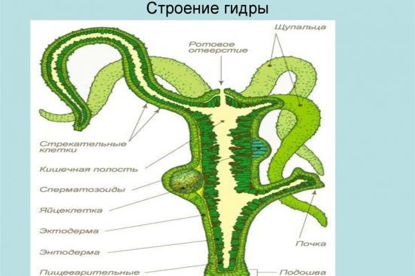 Кракен маркет супернет только через стор