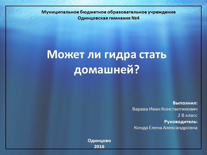 Kraken супернет что это
