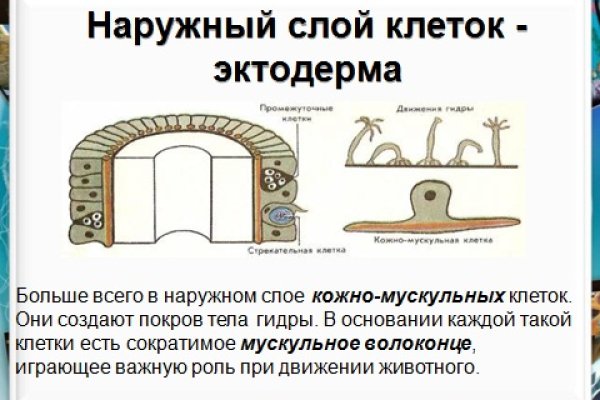 Кракен маркет что это такое