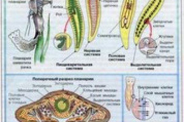 Kraken market ссылка