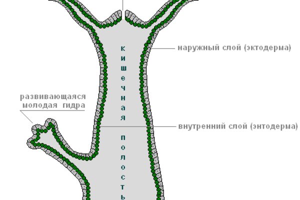 Магазин кракен супернет сайт